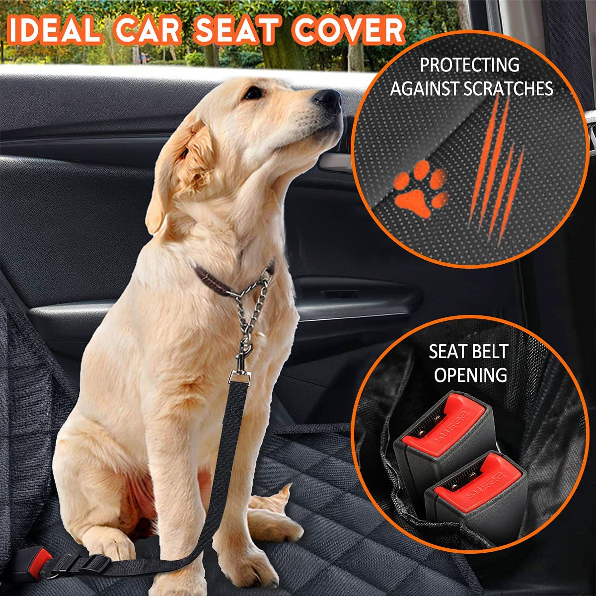 RidePaws 