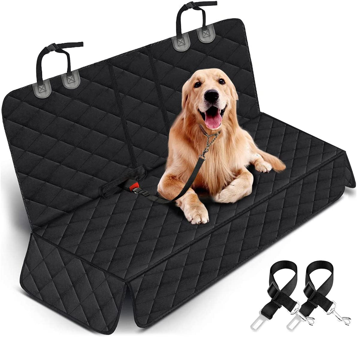 RidePaws 