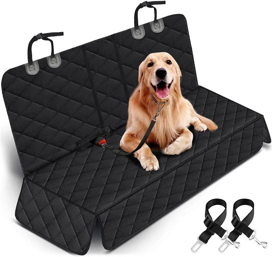 RidePaws 